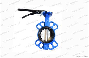 Затвор Ду 80